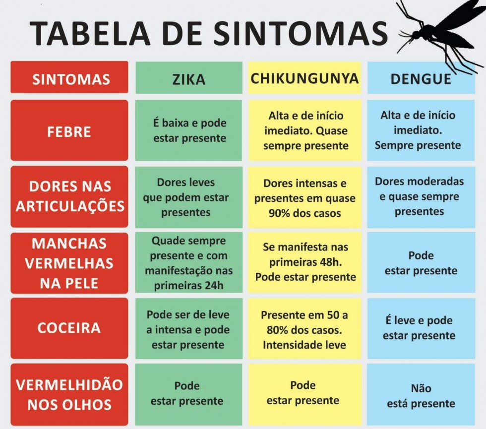 Zika e dengue