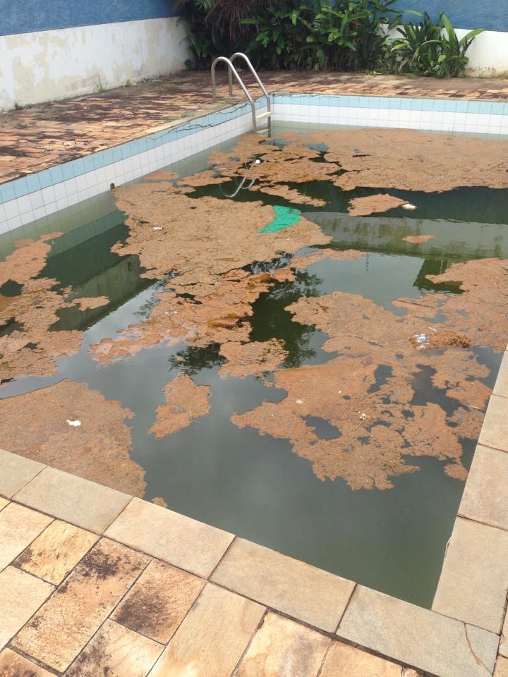 Leitora denuncia piscina do SAE e Prefeitura diz que não há perigo