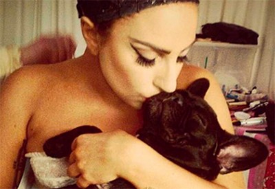 Cantora Lady Gaga está ‘infestada’ de pulgas