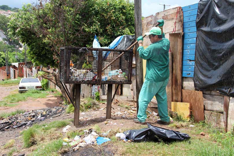 Cidade começa mutirão de limpeza contra a dengue