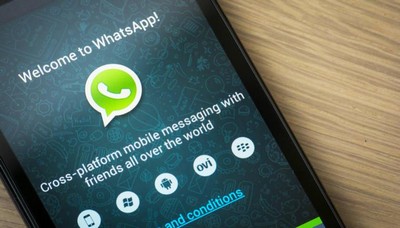 WhatsApp é usado para analisar picada de animais venenosos