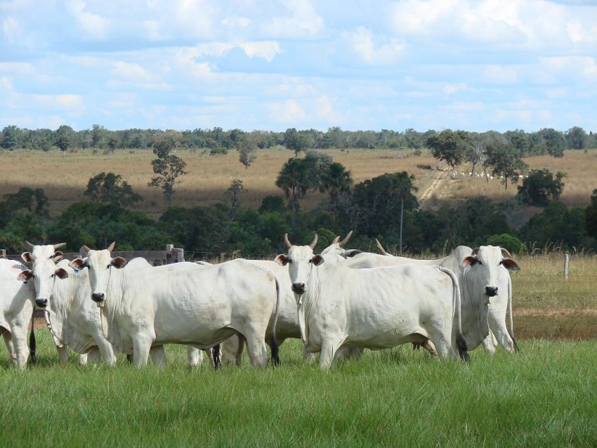 Biomédico tem prejuízo de R$ 75 mil em furto