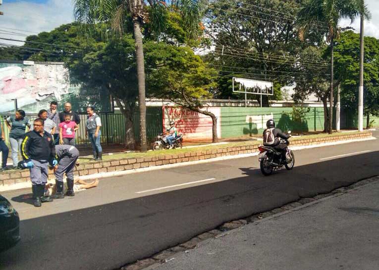 11180266_1007714075913769_2044403063_n-(1)