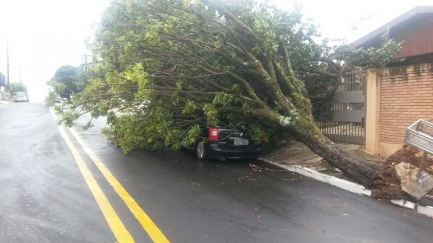 Chuva forte causa estragos em Marília