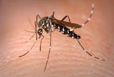 Brasil registra queda de 27% nos casos de dengue