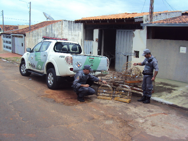 Homem é multado em R$ 22 mil por crime ambiental