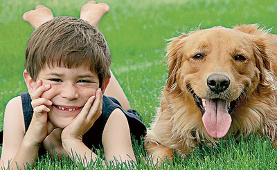 Brasil tem mais cachorros de estimação do que crianças