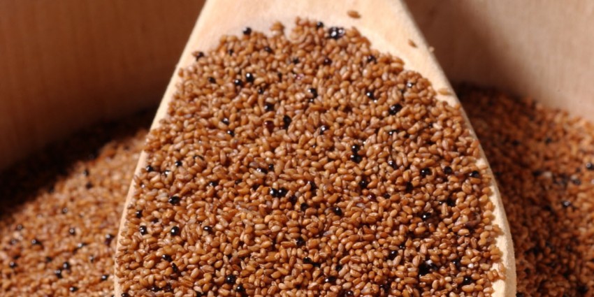 Saucy Ladies column on what to do with teff, the world's smallest grain