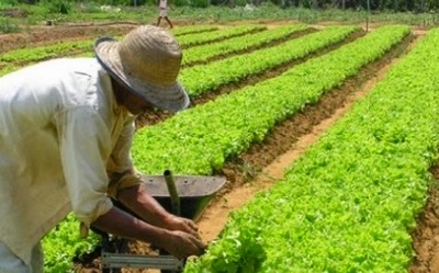 Governo lança programa para trabalhadores rurais