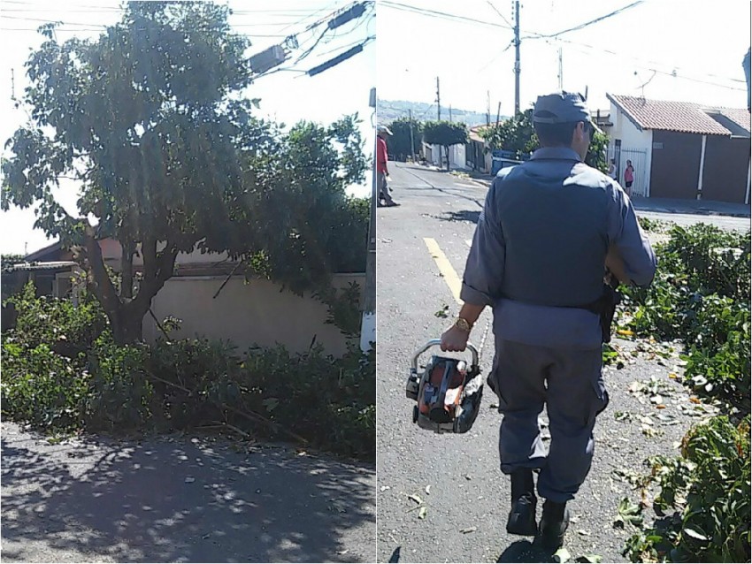 Polícia apreende motosserra após reclamação de vizinhos