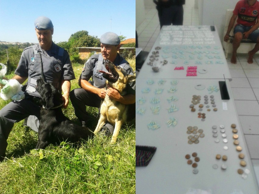 Polícia Militar faz grande apreensão de drogas na zona norte