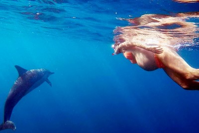 Mulher pretende dar à luz no mar em meio aos golfinhos