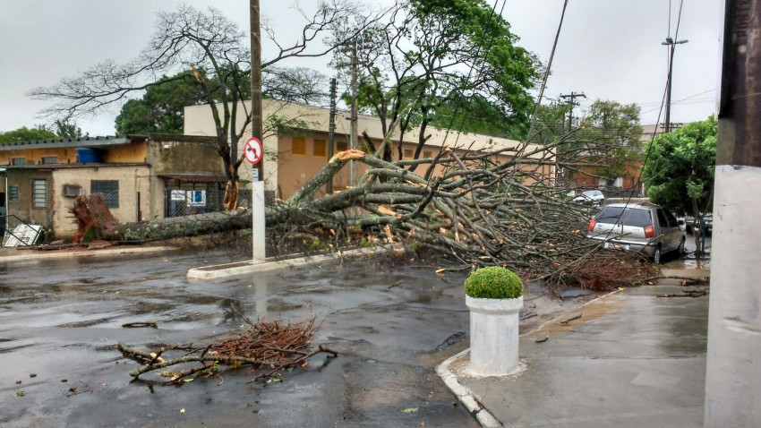 Vendaval causa falta de água em vários pontos de Marília