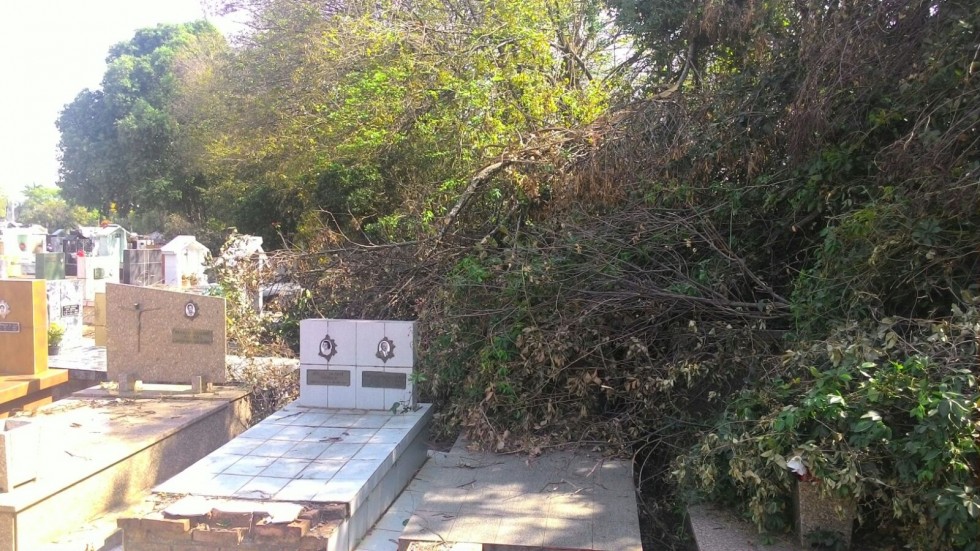 Falta de manutenção em cemitério impede mariliense de visitar túmulo