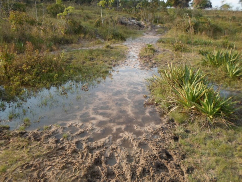 Polícia Ambiental multa fazendeiro em mais de R$ 10 mil