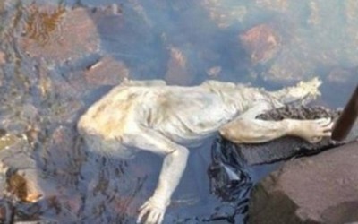 Paraguaios encontram criatura bizarra em rio