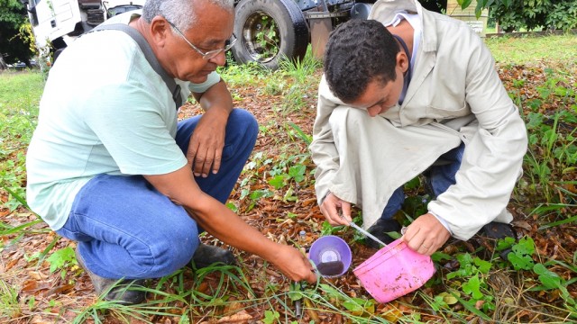 Prefeitura promove ações contra dengue na zona oeste