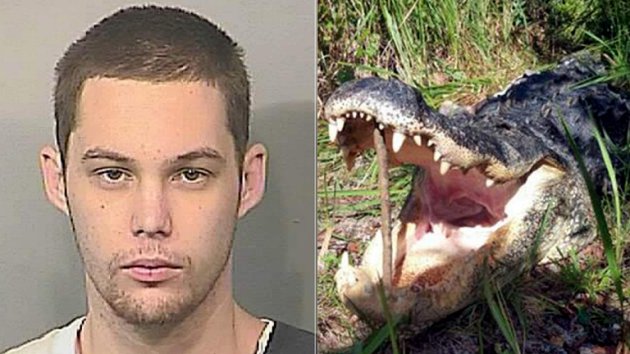 alligator-attack-1-2048x1152-20151208-103039-488