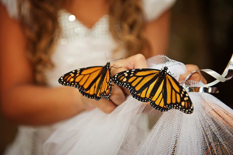 wedding-butterflies-bride_claudiamatarazzo