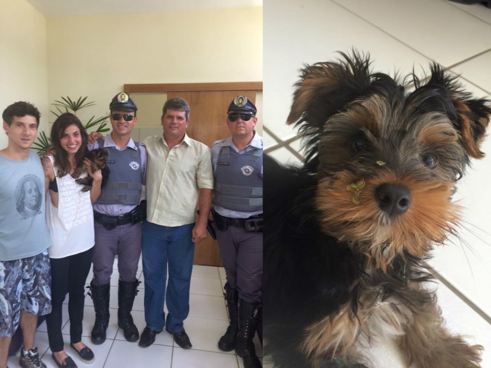 Cão furtado reaparece na Rodovia do Contorno