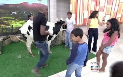 Vaca faz xixi ao vivo no palco do “Encontro”