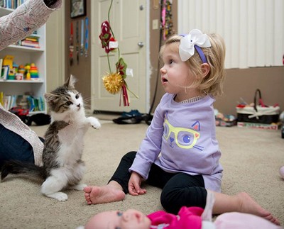 Menina que teve braço amputado ganha gata de 3 patas