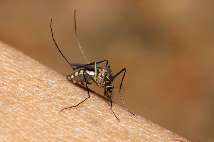 Marília tem mulher com suspeita de zika vírus