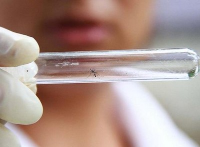 Zika avança pelo interior de SP e já atinge 15 cidades