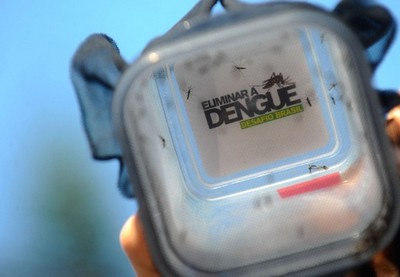 Brasil registra 200 casos de dengue por hora