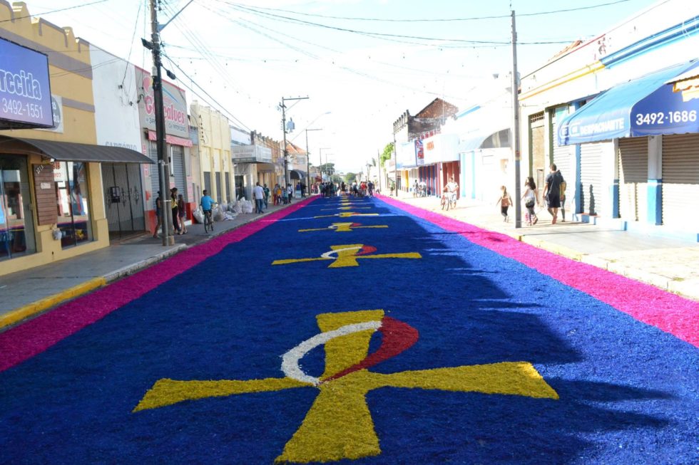 13244129_842699699167268_207883707028533524_o