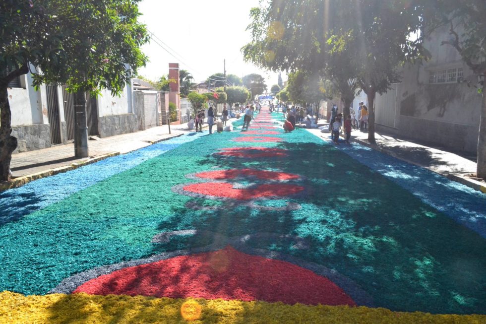 13316890_842699955833909_801748244037999916_o