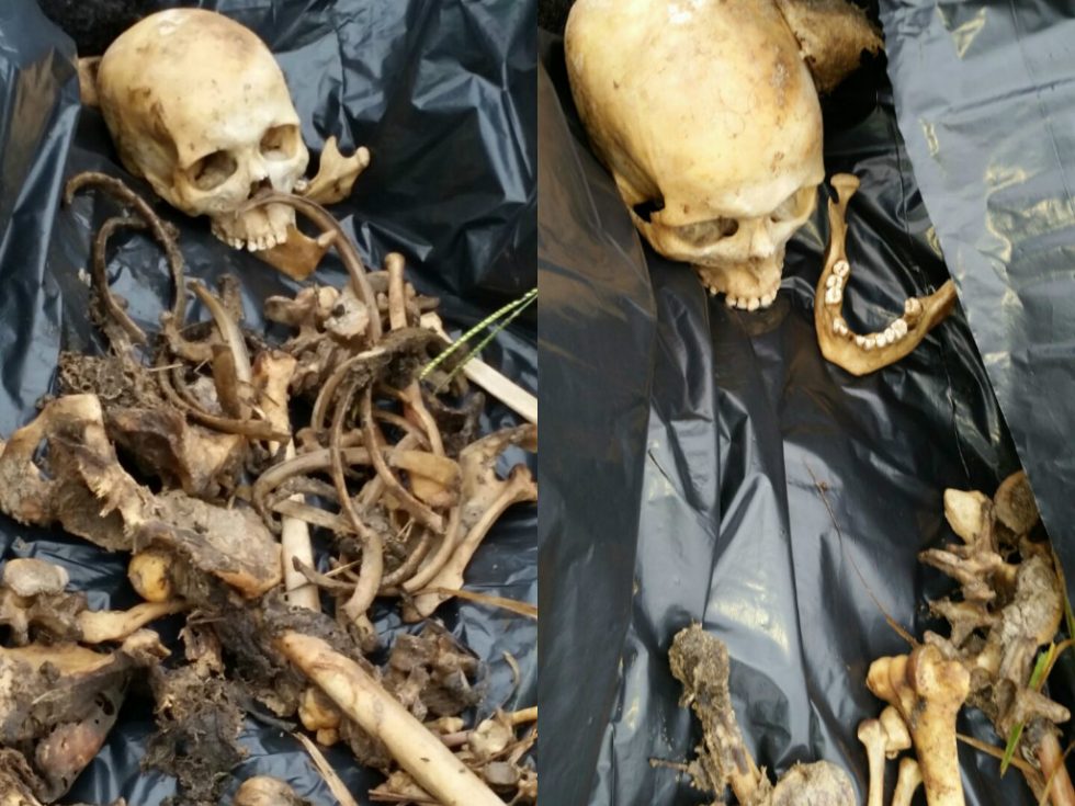 Ossada humana é encontrada em fazenda de Marília