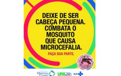 Campanha contra o Aedes aegypti causa polêmica