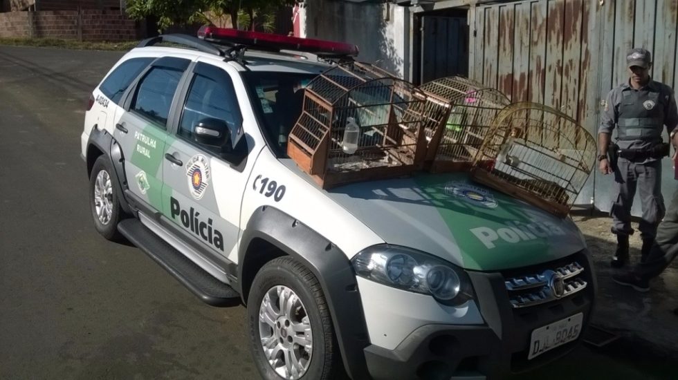 Homem é multado por crime ambiental na zona sul