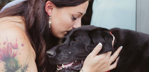 charlie-bear-um-labrador-conseguiu-assistir-ao-casamento-de-sua-dona-1474293871098_615x300