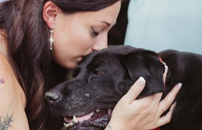 Com tumor terminal, cão realiza sonho da sua dona