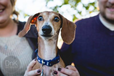 Cachorro torna fotos de noivado engraçadíssimas