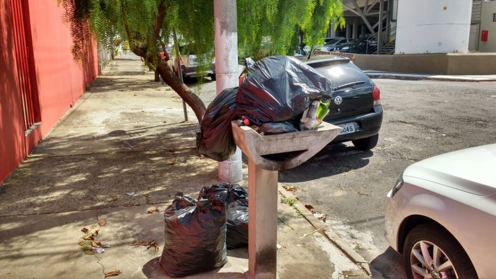 Sem coleta, porcos comem lixo nas ruas de Marília
