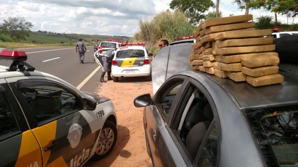 Polícia faz grande apreensão de maconha na SP-333