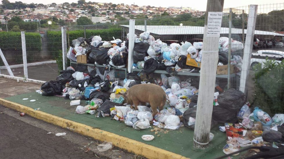 Sem coleta, homem é detido ao jogar lixo no esgoto