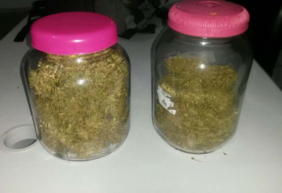 Estudante da Unesp é detido cultivando maconha