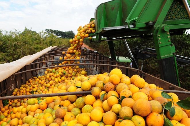 Anvisa divulga relatório sobre risco de agrotóxicos