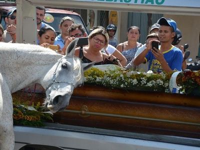 Cavalo emociona família ao se despedir de dono morto