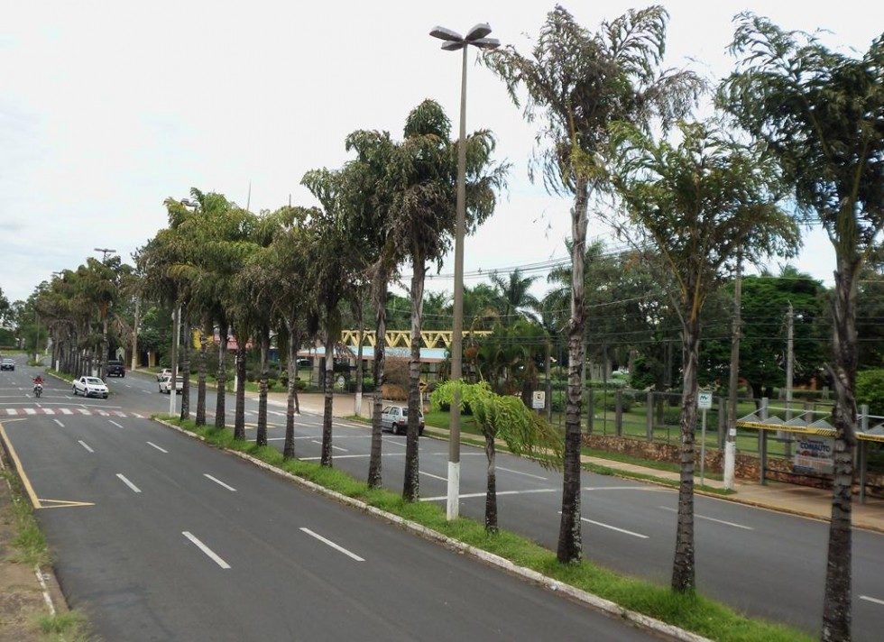 Hygino Muzzi Filho: avenida dos assaltos