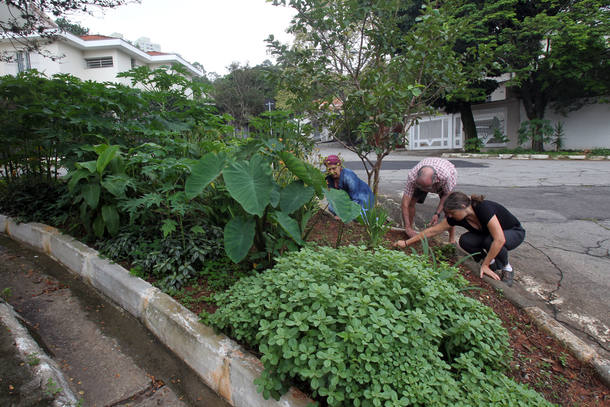 Moradores de SP se mobilizam para construir ecobairro