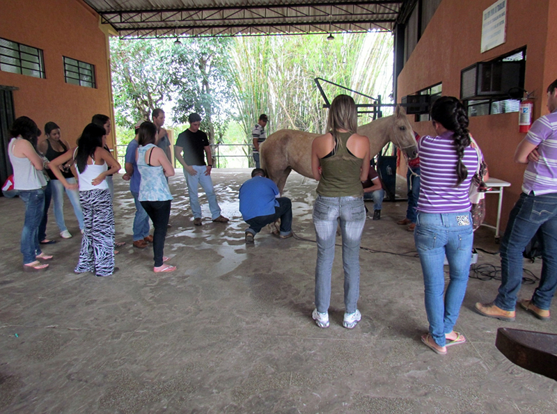 Simpósio na Unimar discute produção e reprodução animal