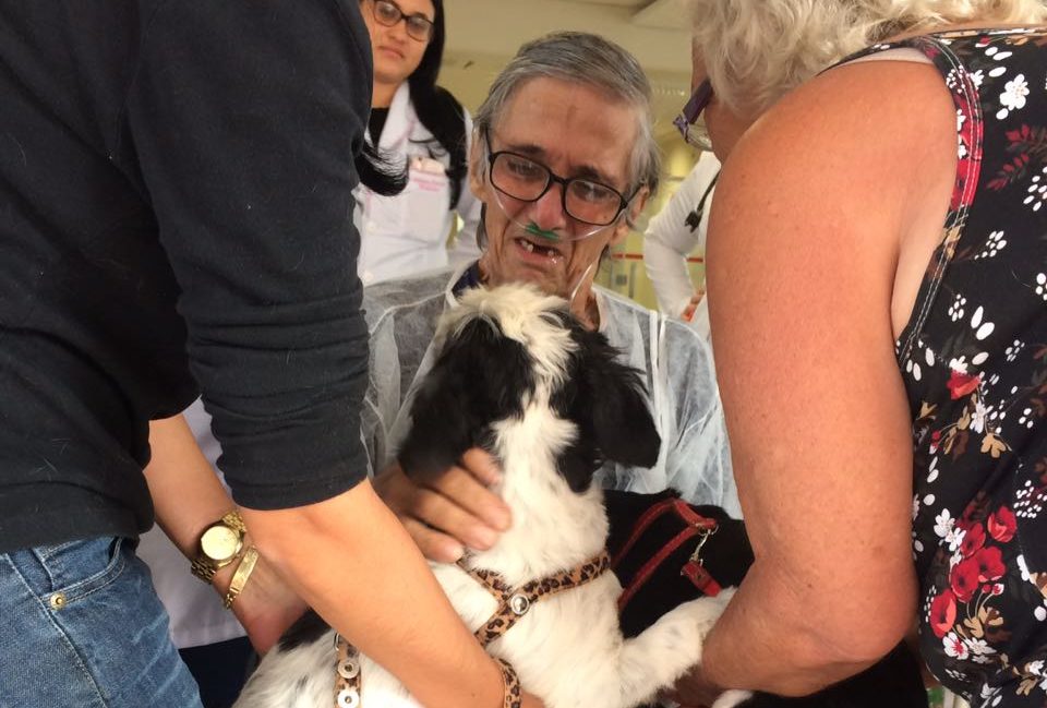 Paciente que se despediu de seus cães morre em Marília