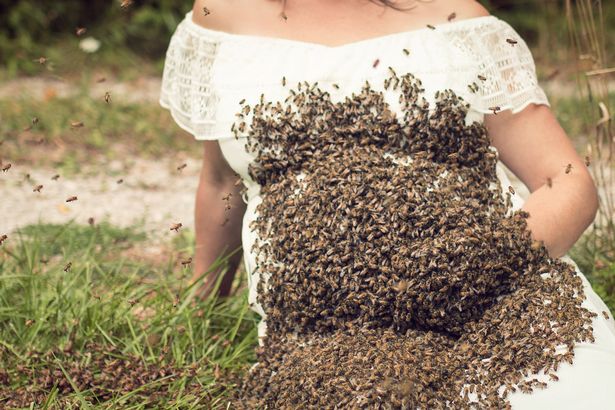 Grávida tira foto com abelhas e assusta