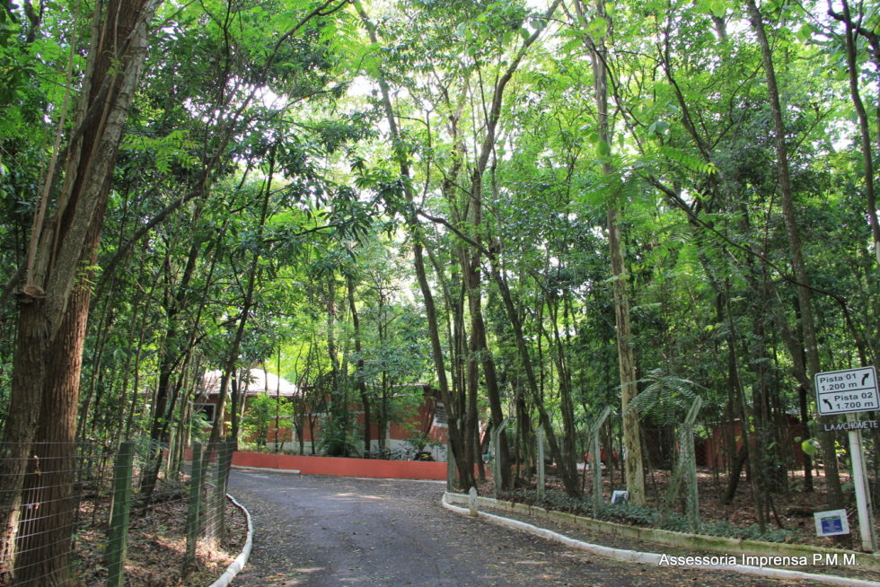 Prefeitura estuda revitalizar Bosque em 2018