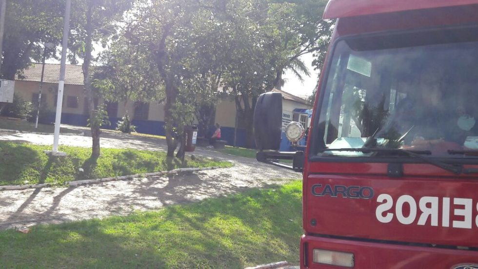 Abelhas mobilizam Corpo de Bombeiros em Marília